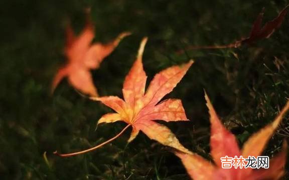 不到20天，2名小学生自杀身亡，我们的教育到底怎么了？