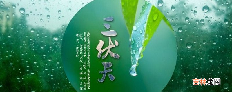 三伏三九具体时间