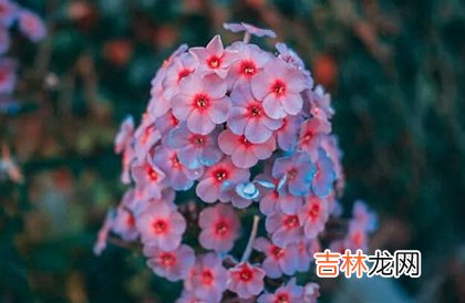 算命大师,2020年阴历四月初六日子不宜出行出远门吗?