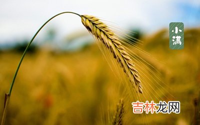 算卦,2020庚子年四月二十八小满节气是黄道吉日？小满三候解析