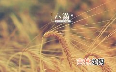 算卦,2020庚子年四月二十八小满节气是黄道吉日？小满三候解析