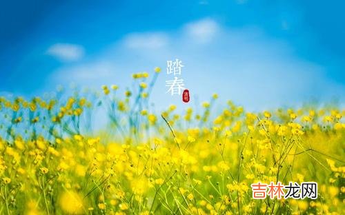 八字测算,2020年农历几月几日是清明节，属相冲合是什么？