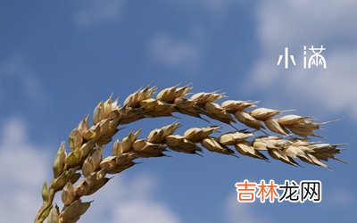 非常运势算命,2020年小满后一天农历四月二十九日是不是黄道吉日？