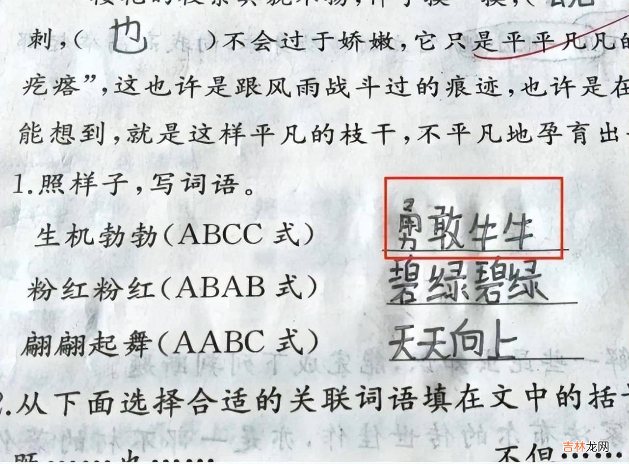 小学生写作出现“栓Q”老师血压飙升，网络热词该进作文吗？