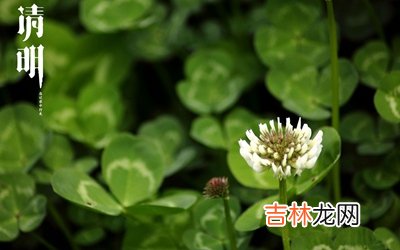 生辰八字解读,2020庚子年清明节可以烧香拜佛吗?清明谚语有哪些?