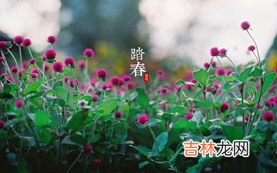 免费八字算命,清明节的由来，清明节为什么吃青团？