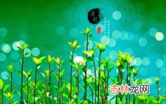 生肖算命,清明节是阳历还是阴历？清明节为什么要插柳？