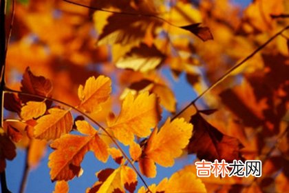 周易占卜,2020鼠年农历三月有30天吗,2020年农历三月份好日子有几天?