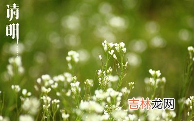 易奇八字,2020庚子年清明节可以理发剪头发吗?清明有什么禁忌?