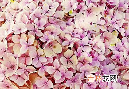免费算命婚姻,2020年农历四月初二日子好不好,今天适合破土修坟吗？