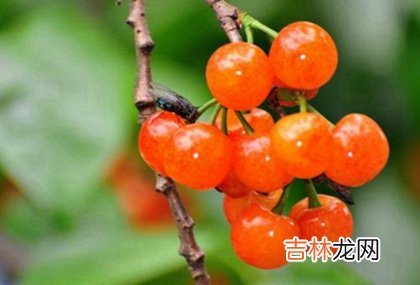 非常运势算命,2020年农历四月初三今天日子出行出远门好不好？