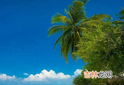 非常运势算命,2020年农历四月初三今天日子出行出远门好不好？