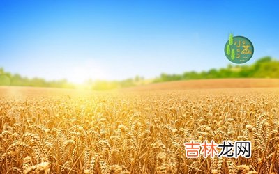 免费测字,2020庚子年小满节气前一天四月二十七适合祭祀祭祖吗？