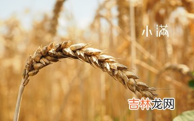 免费测字,2020庚子年小满节气前一天四月二十七适合祭祀祭祖吗？