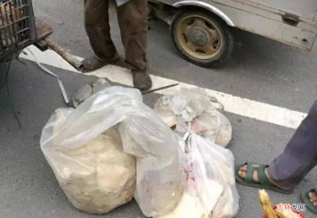 江苏：70多岁老人，吃剩菜剩饭拾垃圾生活，网友：继子继女不是人