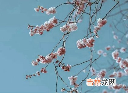 姓名测试,2020年农历三月二十五-4月17日适合出行出远门吗？