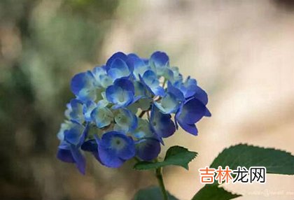 好运网在线起名,2020年农历三月廿七谷雨节气-红纱日不宜破土迁坟吗？