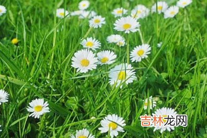 好运网在线起名,2020年农历三月廿七谷雨节气-红纱日不宜破土迁坟吗？