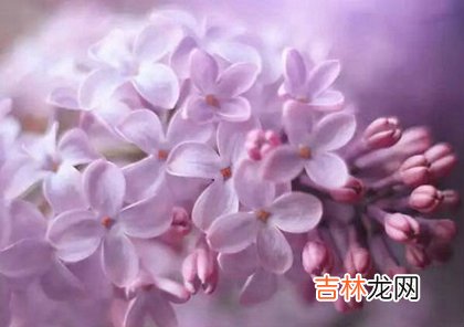 命运分析,2020年农历三月廿九出行好不好,4月21日今日财神吉位