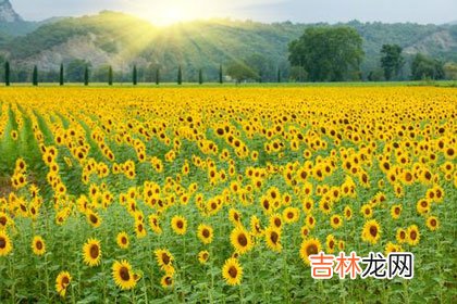 让人充满好奇感的网聊 人心叵测，先要保护好才是情感中的重点