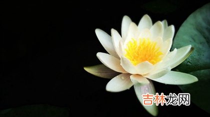 算命婚姻,2020年农历三月三十是修坟吉日吗,修坟要注意什么？