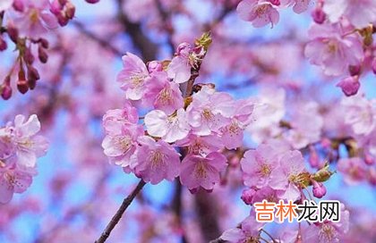 算命大师,2020年农历三月廿九-4月21日适不适合破土修坟？