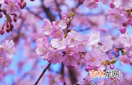 命运分析,2020年三月十六适合出行出远门吗,开车出行注意什么？