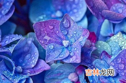 八字合婚,2020年三月十八-4月10日黄历日子好吗,是修坟的吉日吗?