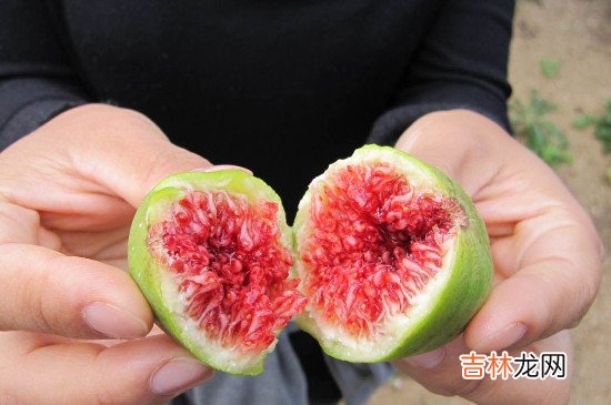 无花果冷冻后怎样吃