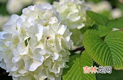 事业财运,2020年农历三月十七不宜出行吗,今天卦象怎么样?