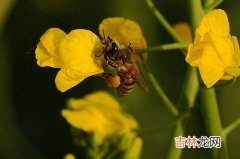 农历 生辰八字算命,三月份对应五行是“土”吗，中医五行说！