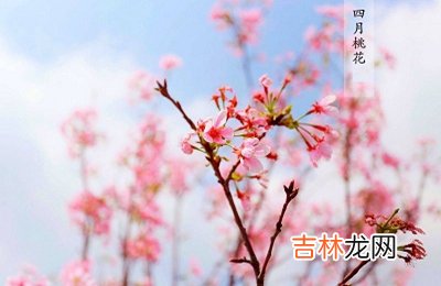 八字合婚,2020庚子鼠年四月初二日日子好不好?