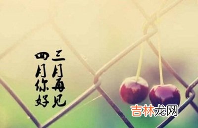 八字合婚,2020庚子鼠年四月初二日日子好不好?