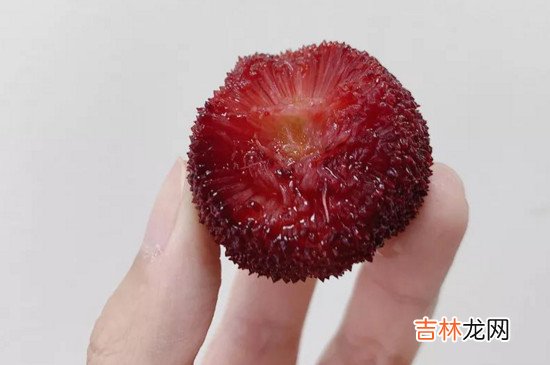 杨梅没洗干净可以吃吗