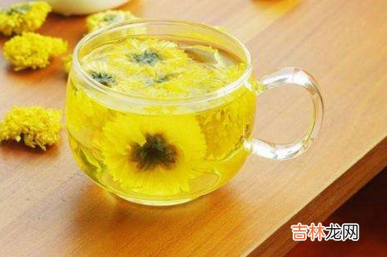 菊花茶怎么喝