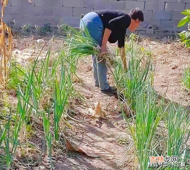 山东:大伯哥要买房,婆婆让远嫁儿媳出钱,你生个女儿留着也没用