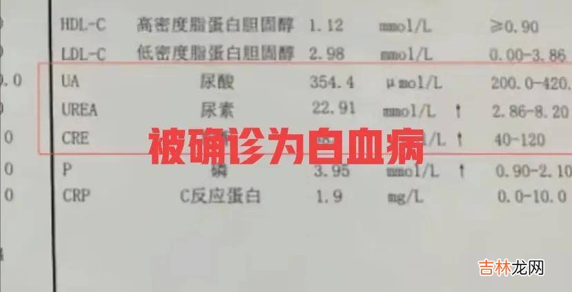 男子为救白血病女友，卖掉车房换来40万，女友病好后嫁给他人