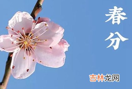 好运网在线起名,2020年春分后一天宜动土吗,春分吃什么传统食物?