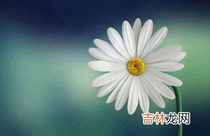 在线排盘,2020年农历三月十五-4月7日日子是不是迁坟吉日？