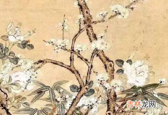 2020年5月23号闰四月初一出生的人性格命运解析,五行八字查询