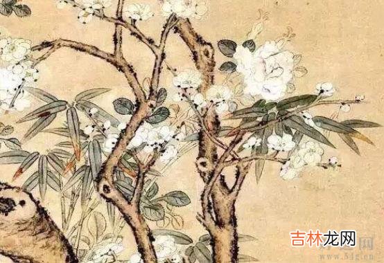 2020年5月23号闰四月初一出生的人性格命运解析,五行八字查询