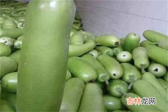 葫子瓜禁忌