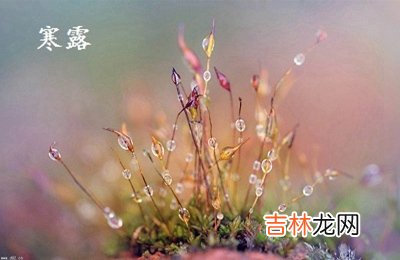 2020年10月8日寒露出生女宝宝缺火最佳名字