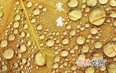 2020年10月8日寒露出生女宝宝缺火最佳名字