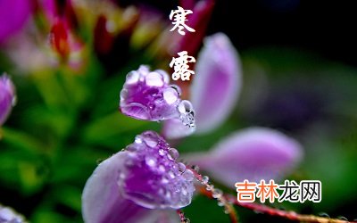 2020年10月8日寒露出生女宝宝缺火最佳名字
