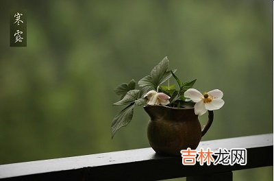 2020年寒露出生男孩五行缺水名字洋气有内涵的