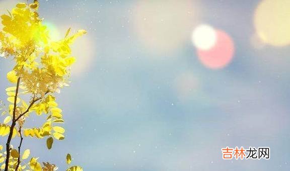 你还记得自己第一次春游的情形吗?让我帮你复盘一下吧