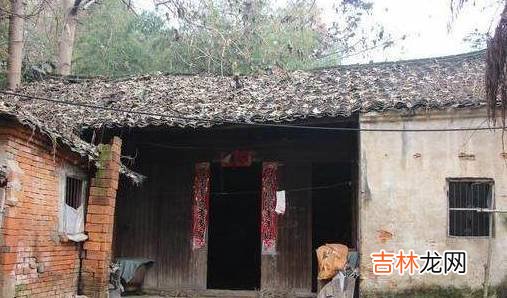 我刚出月子,一大早公婆拎着两袋尿不湿来家里过元旦来了