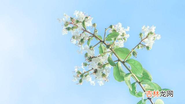 一个女人最高级的活法:四个字