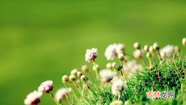 一个女人最高级的活法:四个字